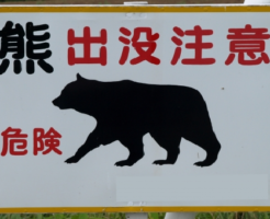熊 対策 ライト